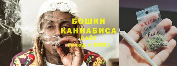 PSILOCYBIN Аркадак