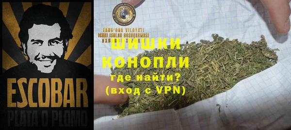 PSILOCYBIN Аркадак